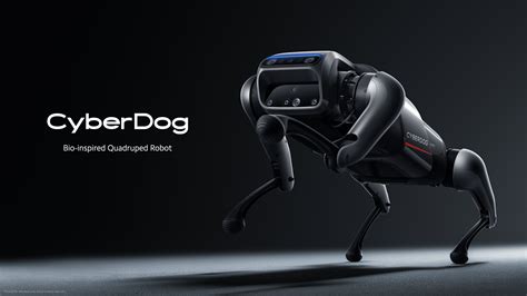 Cyber dog - CyberDog is capable of following a person around like a puppy. It can also pick its owner's face out of a crowd and can respond to facial and postural cues. To demonstrate its physical prowess, Cyberdog is shown completing a backflip. Perhaps most importantly, CyberDog has been taught to look into the eyes of the person interacting with it and to